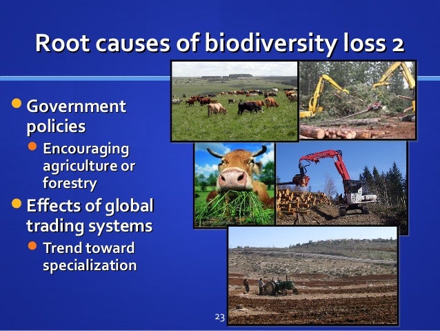 4. What factors lead to biodiversity loss?